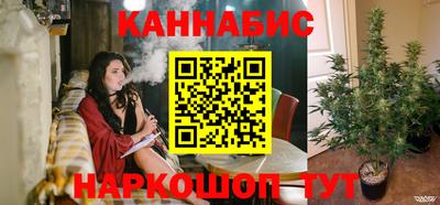 крисы Малгобек