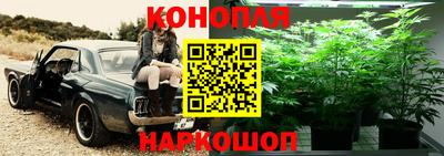 ГАЛЛЮЦИНОГЕННЫЕ ГРИБЫ Малоярославец